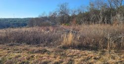 20 Acres in Vale with Creek