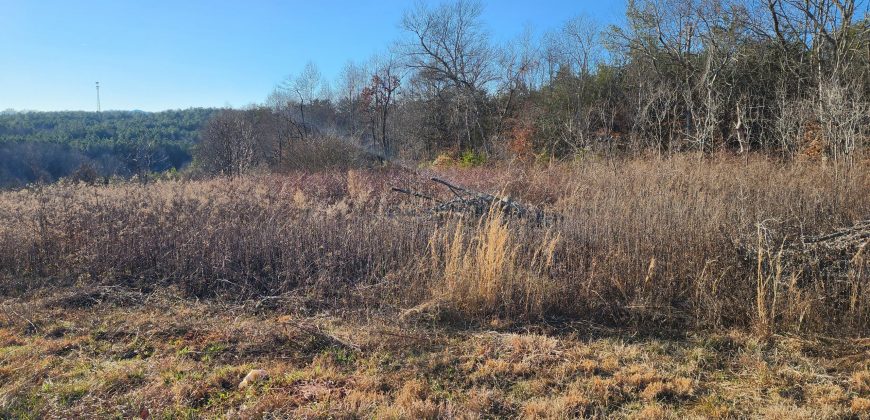 20 Acres in Vale with Creek