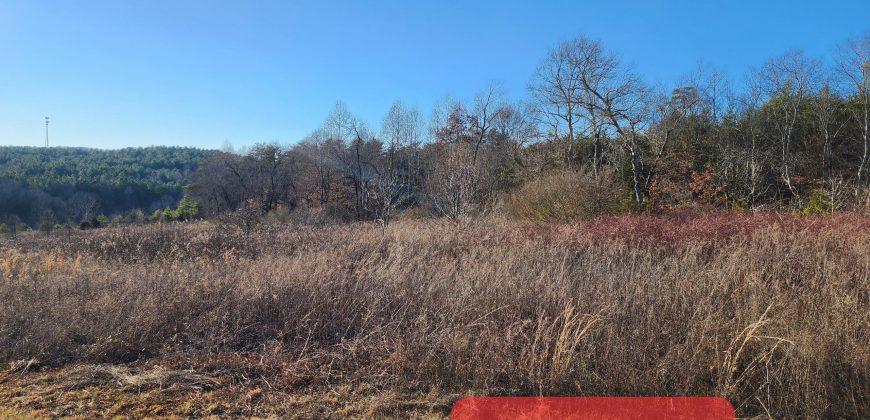 20 Acres in Vale with Creek