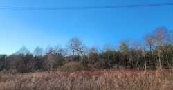 20 Acres in Vale with Creek