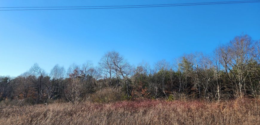 20 Acres in Vale with Creek