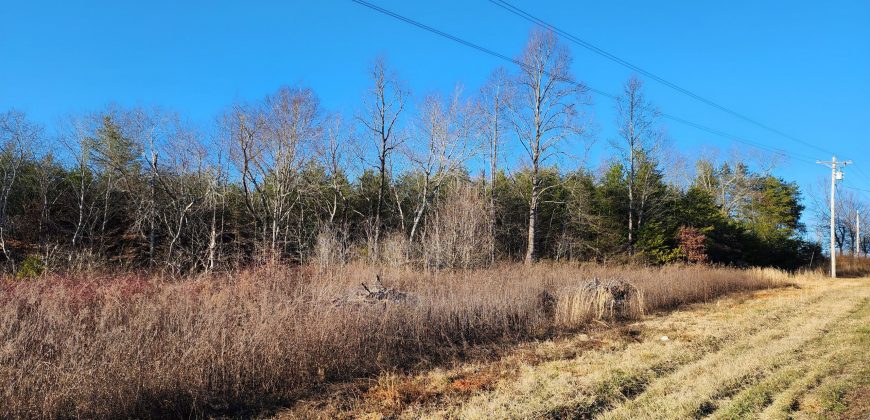 20 Acres in Vale with Creek