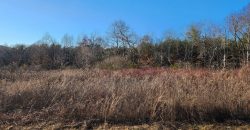 20 Acres in Vale with Creek