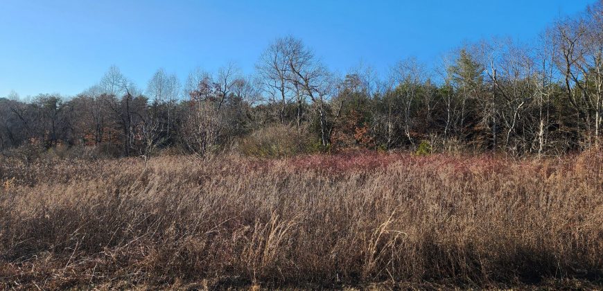 20 Acres in Vale with Creek