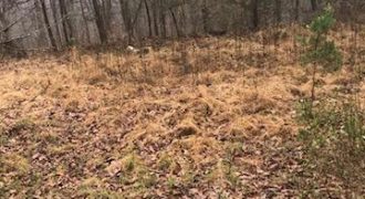 Grand Point Lane, Vale, NC