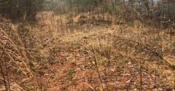 Grand Point Lane, Vale, NC