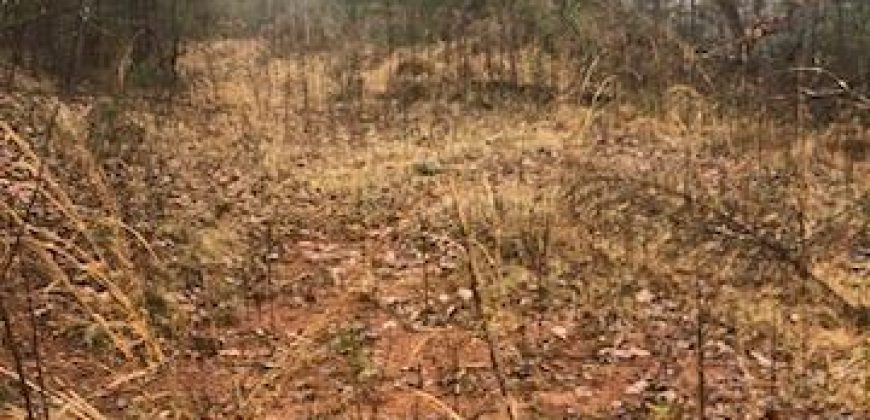 Grand Point Lane, Vale, NC