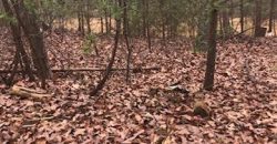 Grand Point Lane, Vale, NC