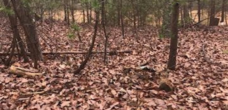 Grand Point Lane, Vale, NC